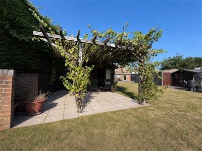 Picture 20